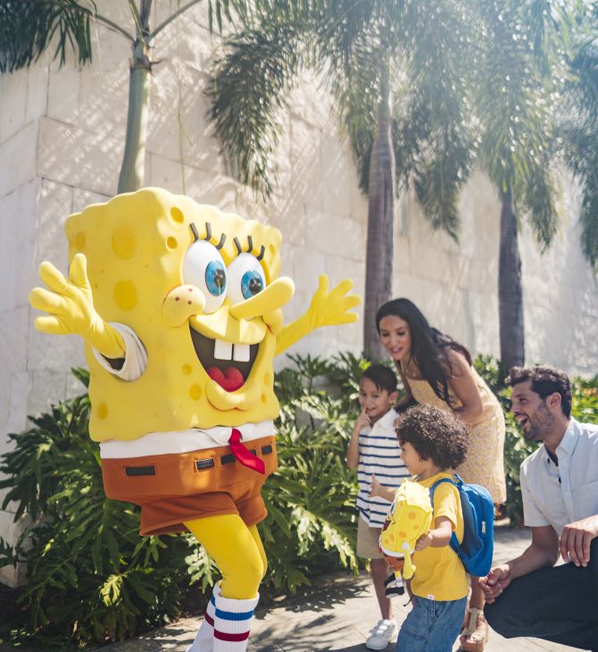 titulobob